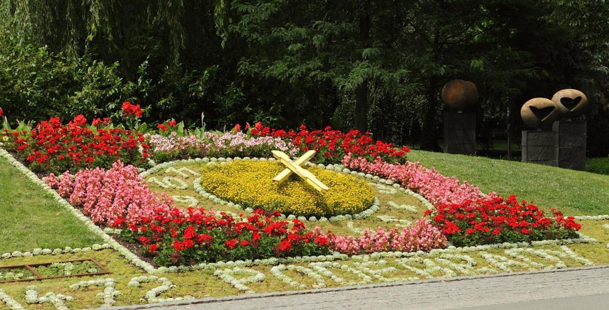 Apartma V Srdci Podebrad * Podebrady